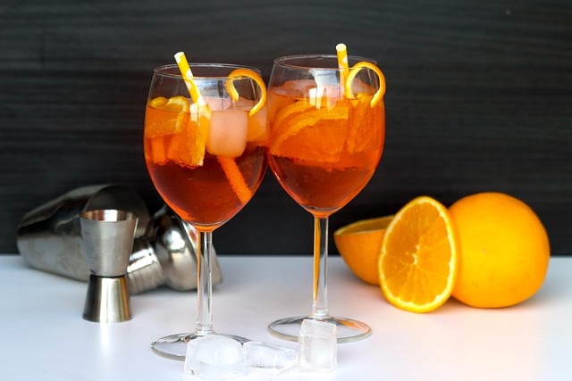 Spritz Experience and dinner at Hotel Palladio - Bassano del Grappa