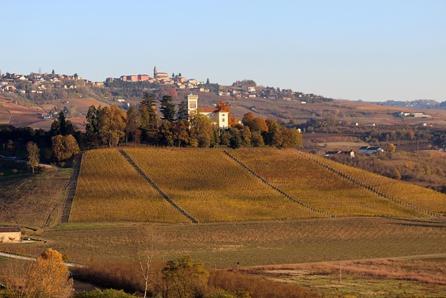 Wine Tasting at Cascina Meriame