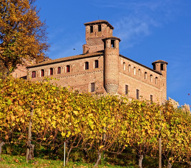 Visit of Grinzane Cavour Castle