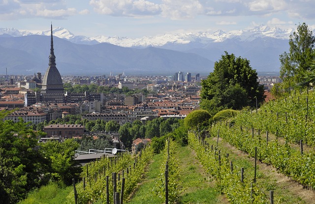 Guided tour of Turin with tasting