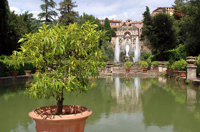 Guided tour of Villa d'Este and Villa Adriana in Tivoli