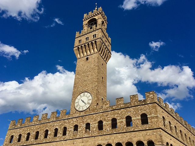 Guided tour of Palazzo Vecchio and Palazzo Pitti