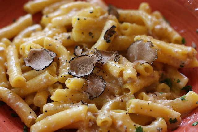 Truffle Hunting in the Tuscan Countryside