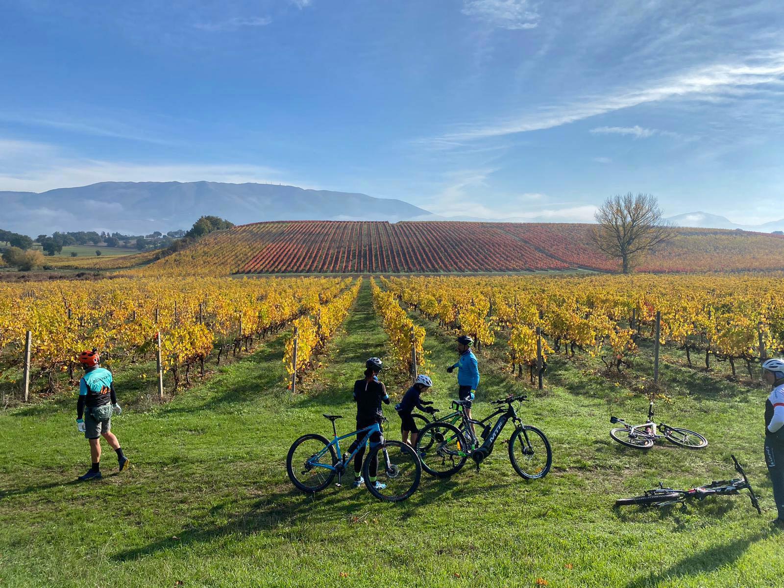 The Sagrantino Wine Hills Bike Tour
