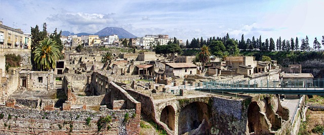 Private guided walking tour of Herculaneum excavations